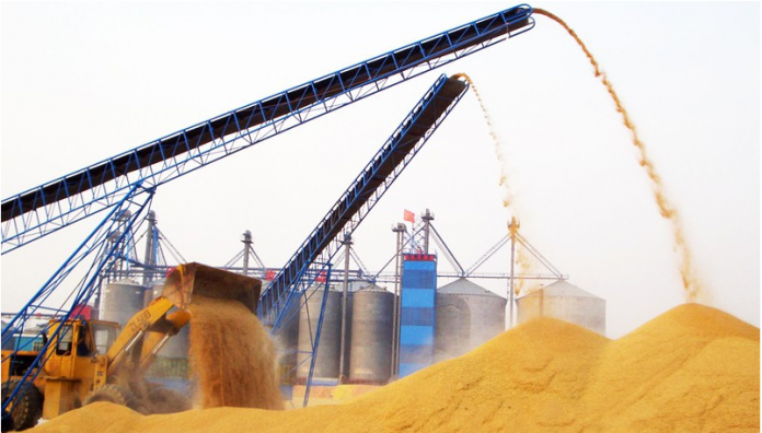 agro_wheat