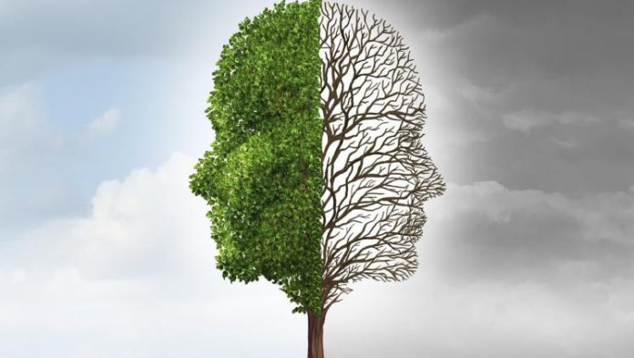 iStock cognitive