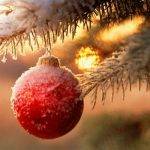 8c25f2864977ca92f927fdd4b07cc011