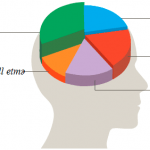 brain_areas-16bd2799f6d50dd7987efbcd60dd8088