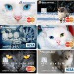 catsss