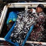 peruanskie-rybaki_200_200