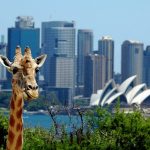 sydney00001