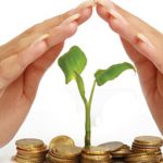life-insurance-quotes