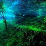 10003985_511633252280468_3646775242714440019_n