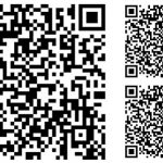 226489fe