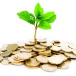 Coins and plant, isolated on white background