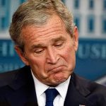 bush_640_25