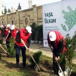 11222925_899059786838249_5572213329285402902_o