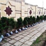 11222925_899059873504907_6373084662214693373_o