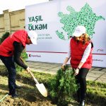 12304180_899059920171569_3211020303643597919_o