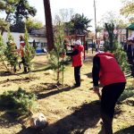 12307962_899498023461092_3655382797238579222_o