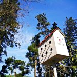 12309549_899498020127759_1917071457827234136_o