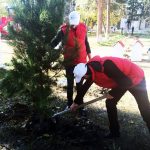 12314298_899497933461101_2230513010173541694_o