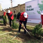 905747_899059803504914_5537719158559363898_o