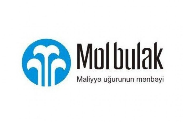 Помощник финансового аналика – Molbulak