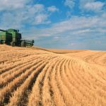 wheat_field_the_bread_basket_high_resolution_desktop_1600x1034_hd-wallpaper-484539