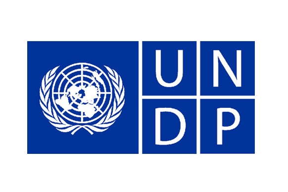 Project Finance Assistant — UNDP