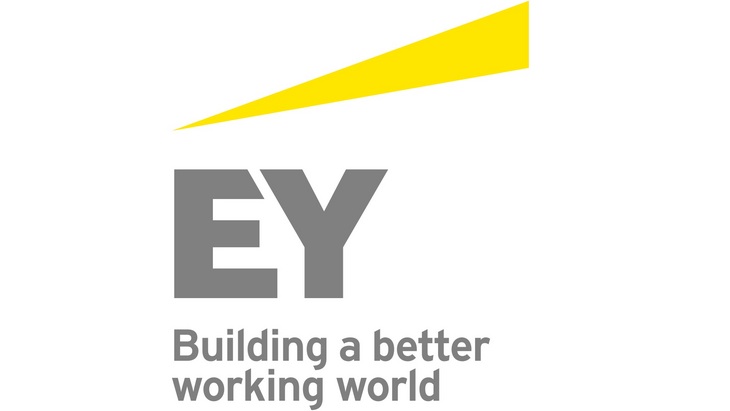 Junior Specialist, Financial Services Risk Management Group, Advisory services –  EY Baku office