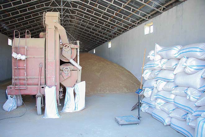 "AccessBank"ın müştərisi: "Nə əkirik, onu da biçirik!" - REPORTAJ 2 IMG 9686