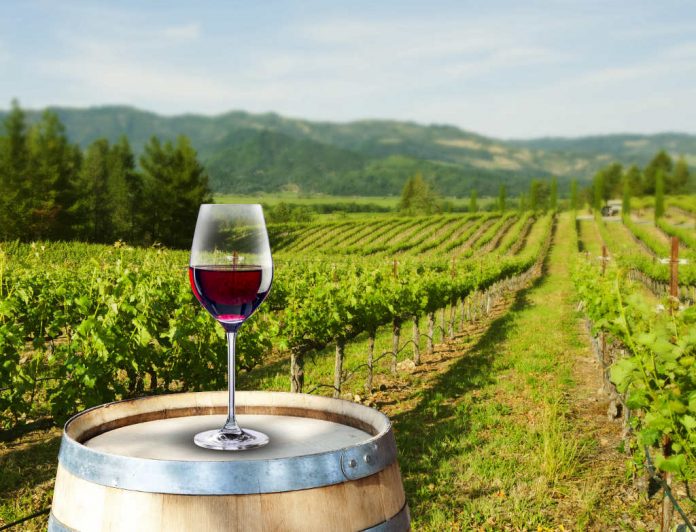vino caxir chaxir serab sherab wine