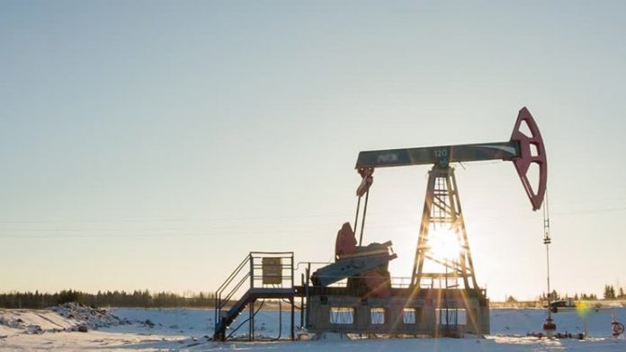 oil