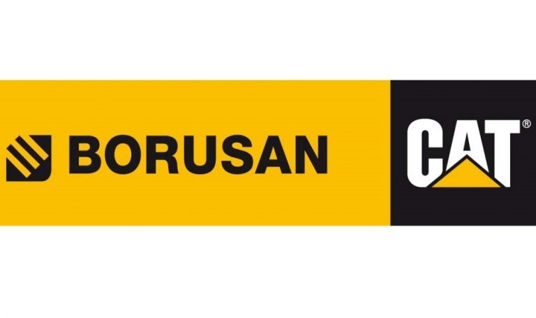 Accountant (full-time six months maternity leave replacement) – Borusan CAT Azerbaijan