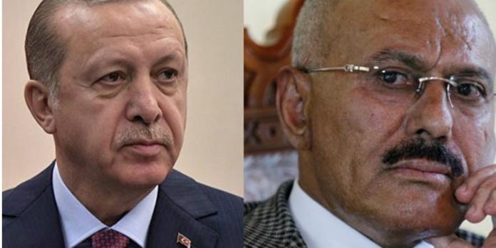 erdogan-saleh