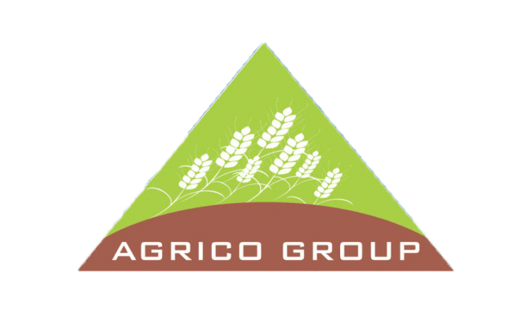 Baş mühasib – Agrico LLC