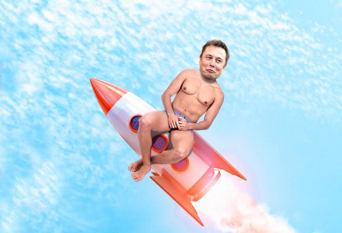 elon musk