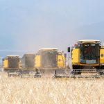 agro-traktor traktor