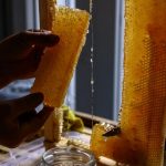 bal-honey2