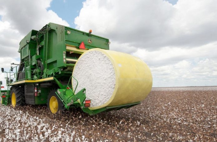 cotton-pambiq