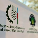 kend teserrufati nazirliyi KTN