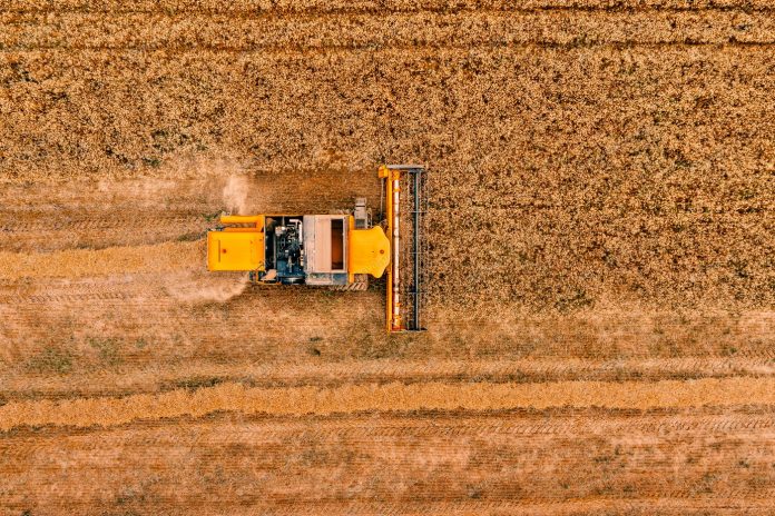 agro-wheat bugda kombayn