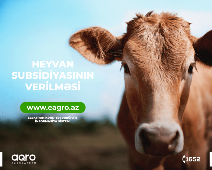e-agro-post-4-site