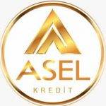 Asel Kredit