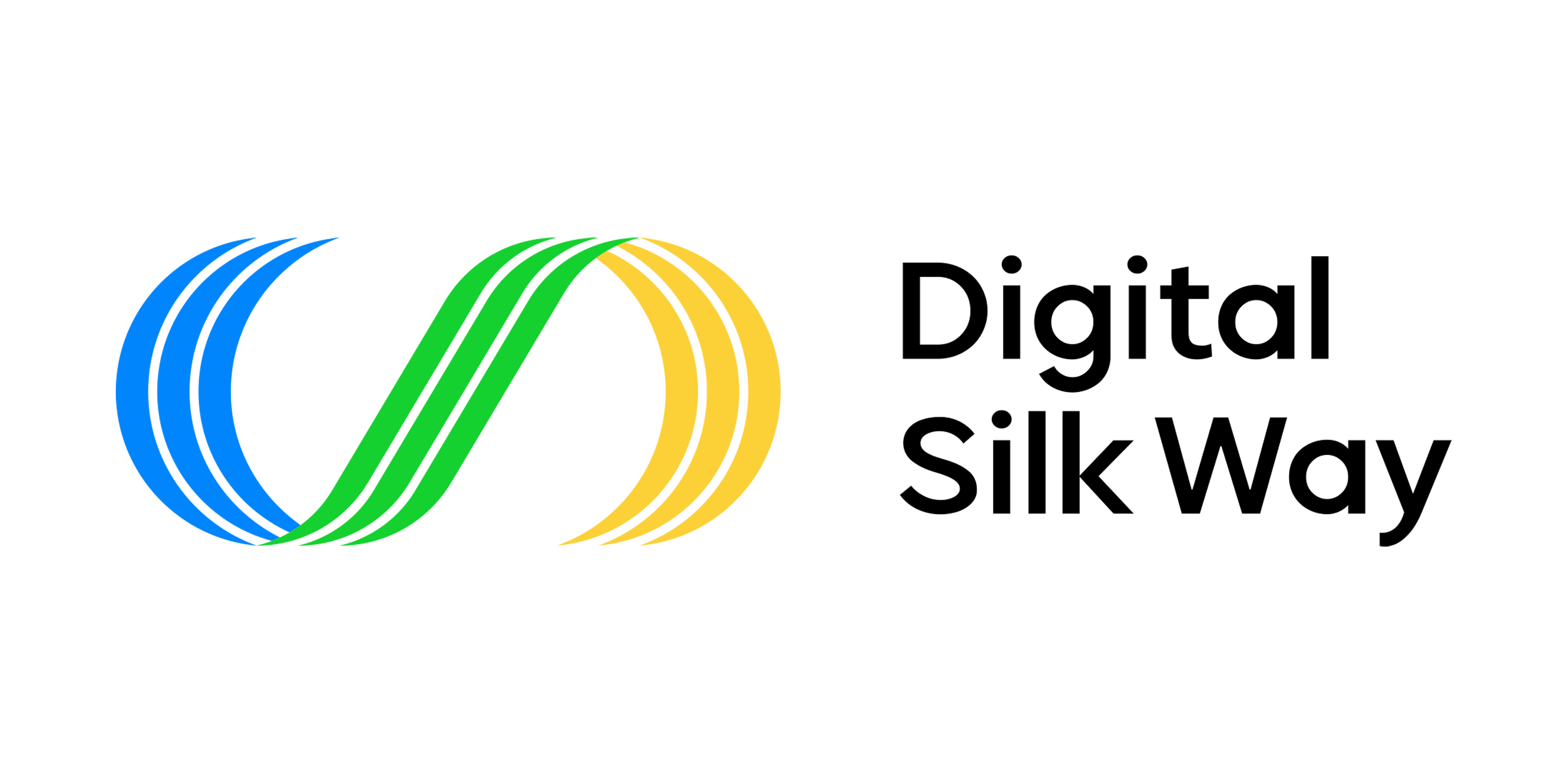 DigitalSilkWay logo