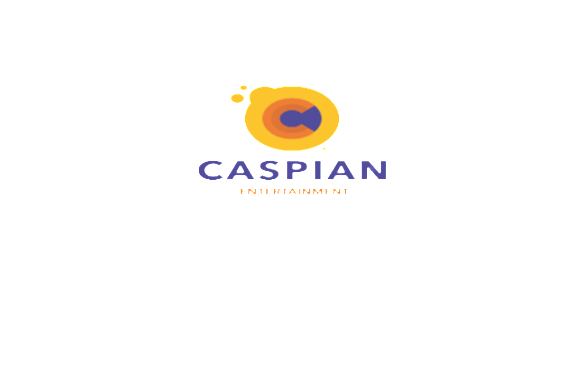 Financial Controller – Caspian Entertainment Company