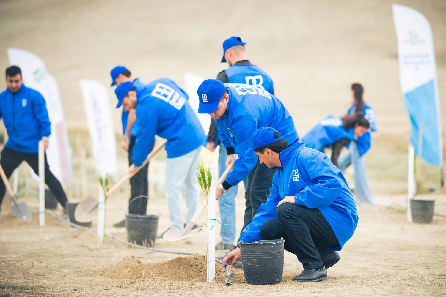 Bank of Baku-dan yaşıl təşəbbüs – növbəti ağacəkmə aksiyası keçirildi 10 10