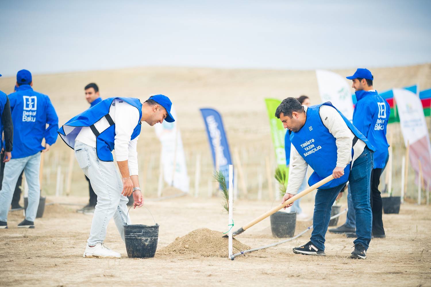 Bank of Baku-dan yaşıl təşəbbüs – növbəti ağacəkmə aksiyası keçirildi 3 4