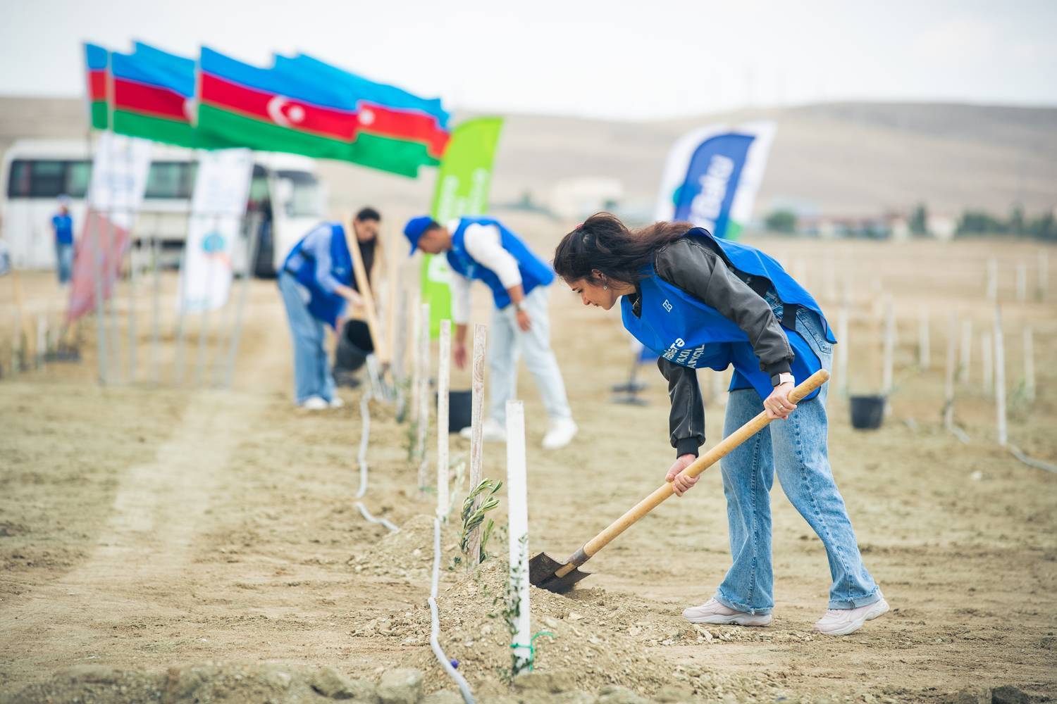 Bank of Baku-dan yaşıl təşəbbüs – növbəti ağacəkmə aksiyası keçirildi 5 5