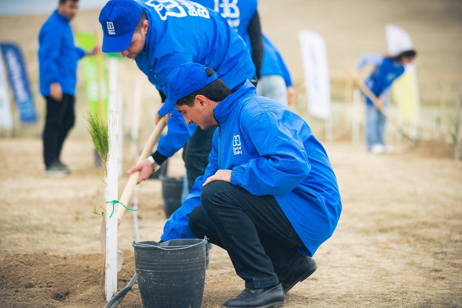 Bank of Baku-dan yaşıl təşəbbüs – növbəti ağacəkmə aksiyası keçirildi 6 6 1