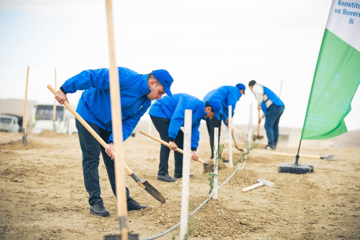 Bank of Baku-dan yaşıl təşəbbüs – növbəti ağacəkmə aksiyası keçirildi 7 7