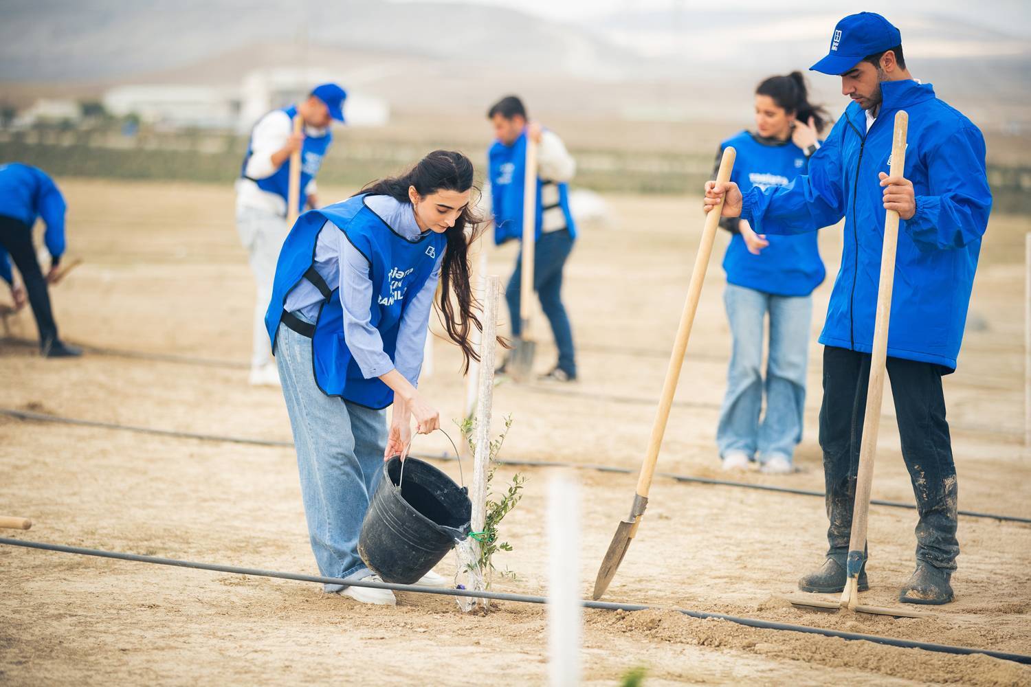 Bank of Baku-dan yaşıl təşəbbüs – növbəti ağacəkmə aksiyası keçirildi 8 8