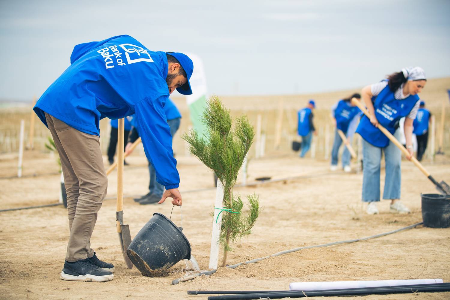 Bank of Baku-dan yaşıl təşəbbüs – növbəti ağacəkmə aksiyası keçirildi 9 9