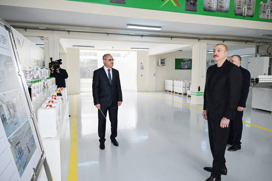 photo 2025 10 28 10 59 46