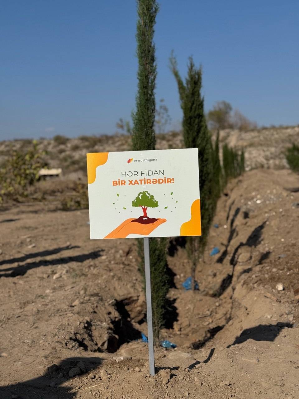 "Atəşgah" Sığorta Şirkəti Zəfər Gününün 5-ci ildönümü münasibətilə ağacəkmə aksiyası həyata keçirib 1 14d98815 0886 4fd8 b1c1 f43b30363cfa
