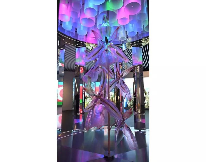 Bakıda Zəfər muzeyinin açılışı olub - Fotolar 15 690efc3285b9e690efc3285b9f1762589745690efc3285b9c690efc3285b9d