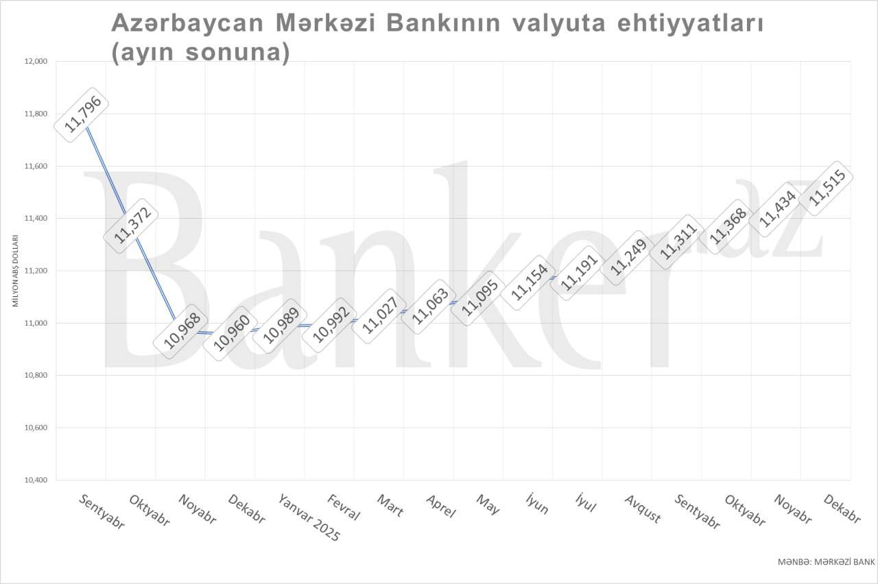 Mərkəzi Bankın valyuta ehtiyatları artsa da, hələ də 2024-cü ilin 3-cü rübündən aşağıdır 1 1